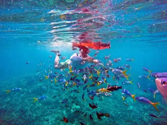 帕劳旅游攻略旅游视频,帕劳旅游攻略2018