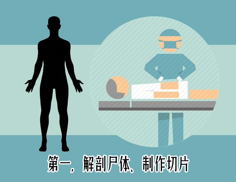 唐人街探案2为何评分低,唐人街探案清道夫什么职业