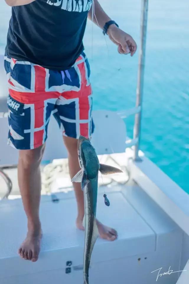 帕劳去玩的人多吗,帕劳到巴厘岛