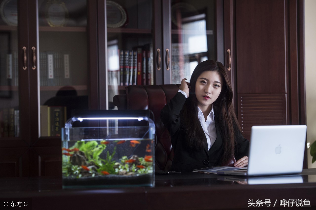 不给鱼缸换水,不给鱼缸充氧小鱼能活吗