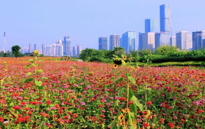 福州室内婚纱照,福州拍婚纱照景点