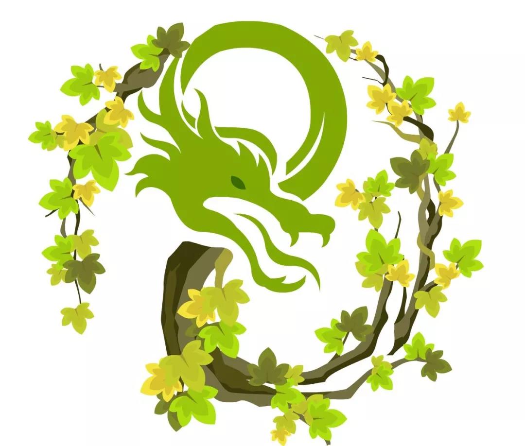 2024年生肖金龙运势,2019十二生肖运势龙的运势