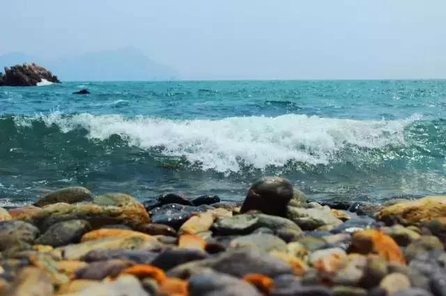 深圳旅游免费全攻略,深圳旅游指南最新版全文解读