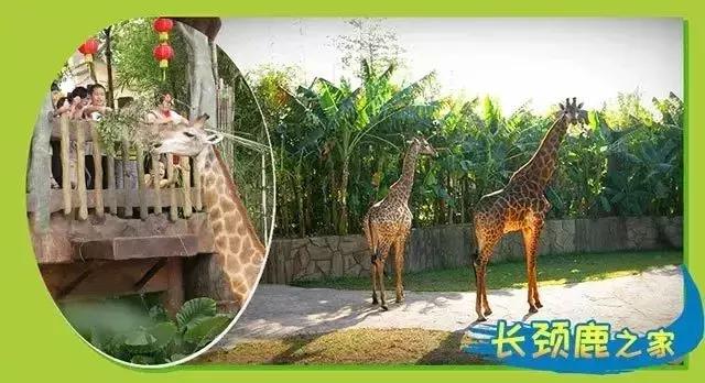 番禺农家乐一日游最佳地点,广州番禺亲子游农庄