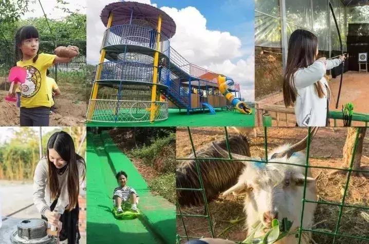 番禺农家乐一日游最佳地点,广州番禺亲子游农庄