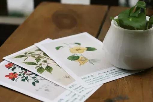 微信名字暴露了你的人生,暴露身份和阶层的微信昵称