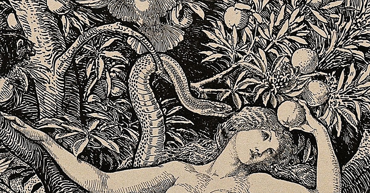 水蛇有灵性吗,水蛇的秘密大揭秘