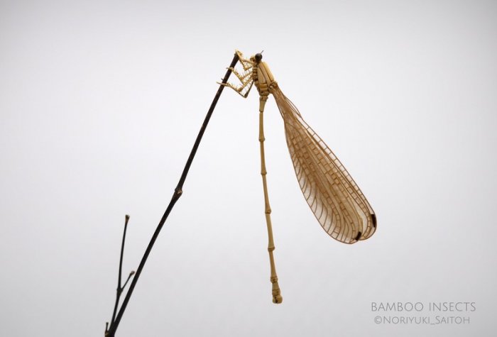 竹子手工制作昆虫模型,轻粘土自制永生花模型