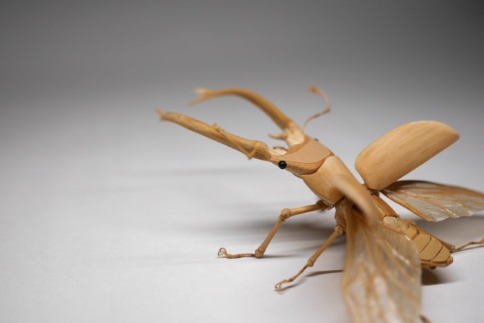 竹子手工制作昆虫模型,轻粘土自制永生花模型