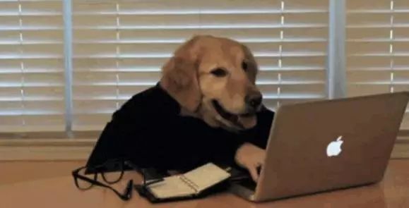 搞挖机出租机械租赁的看过来‖2018开工大吉，旺财陪你一路前行