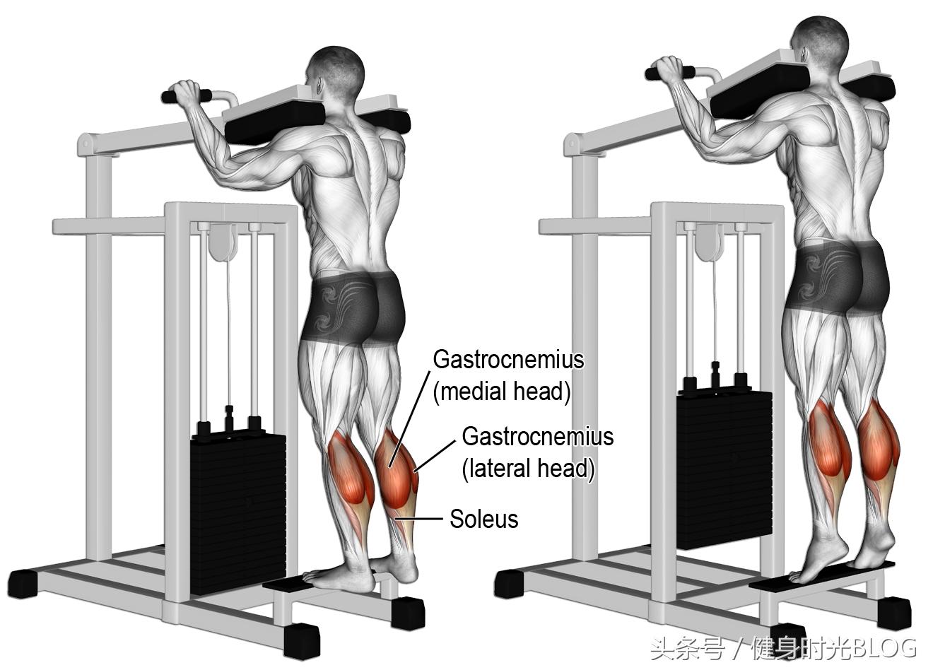 骑行小腿肌肉训练方法,小腿肌肉训练视频大全