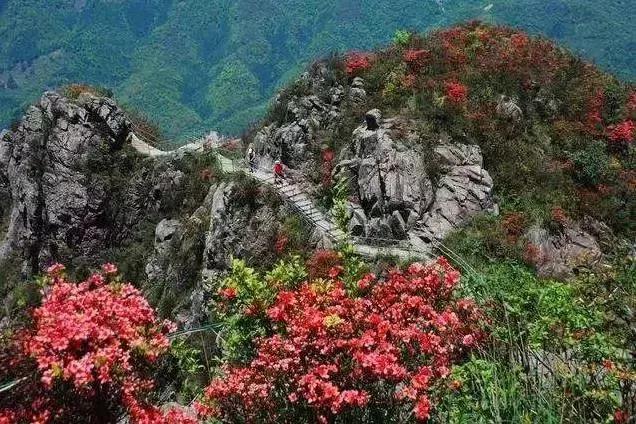 滚蛋吧，春困君！广东这些花花世界让你秒变龙马精神！