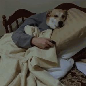 这座美食地标、洗刷了王府井小吃街坑游客的骂名