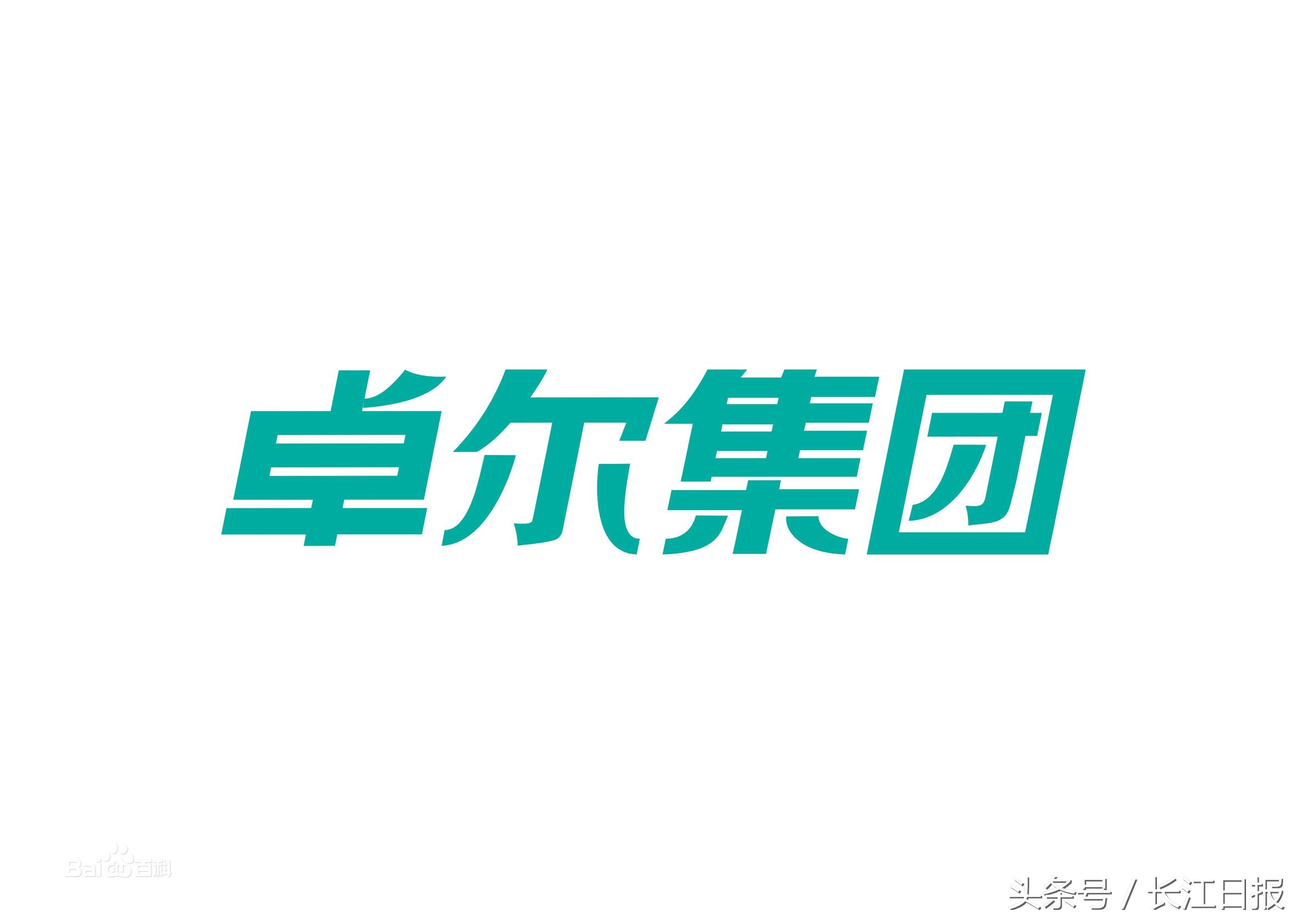 卓尔集团最新经济状况,卓尔集团新项目