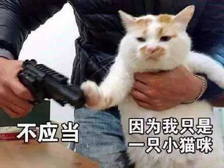 gucci包7500元,7500元gucci包