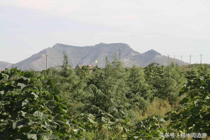 郏县苏东坡墓,苏东坡的墓为何在郏县