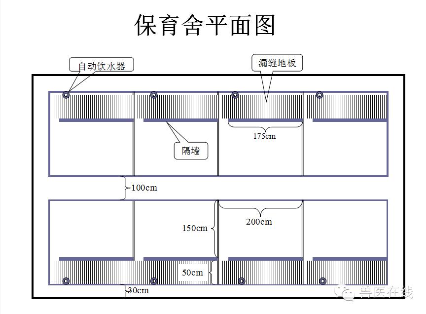 猪场刮粪机排粪沟设计图,100头母猪猪场设计图