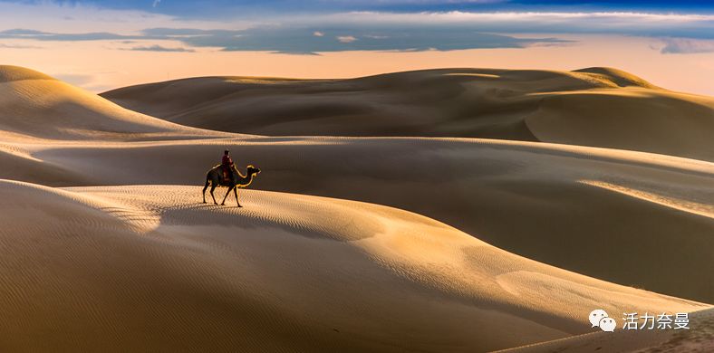 45万人的名片，太漂亮了！！《奈曼人的名片》最新版，45万次！！！精工打造！！！
