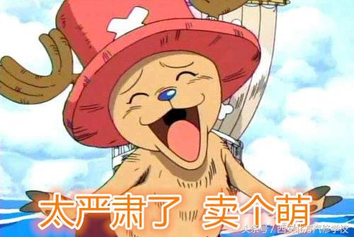 史上最全的汽车上的英文诠释，别问我为什么？厂长是我表锅！