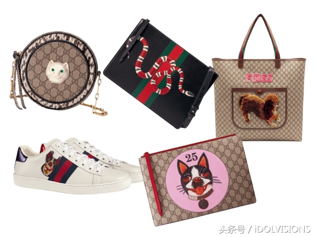 萌狗当家Gucci时髦迎新年