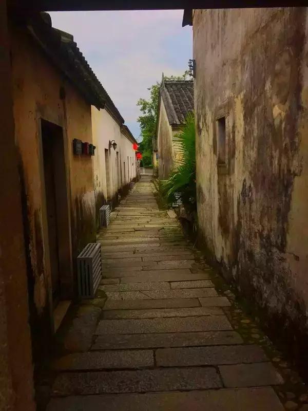 深圳旅游免费全攻略,深圳旅游指南最新版全文解读