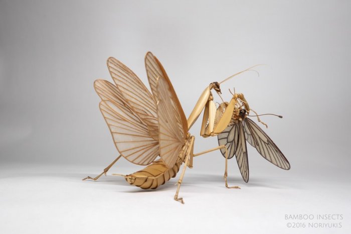 竹子手工制作昆虫模型,轻粘土自制永生花模型