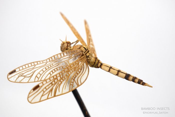 竹子手工制作昆虫模型,轻粘土自制永生花模型