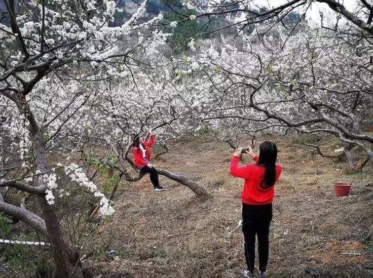 滚蛋吧，春困君！广东这些花花世界让你秒变龙马精神！