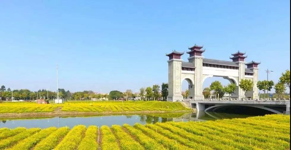 滚蛋吧，春困君！广东这些花花世界让你秒变龙马精神！