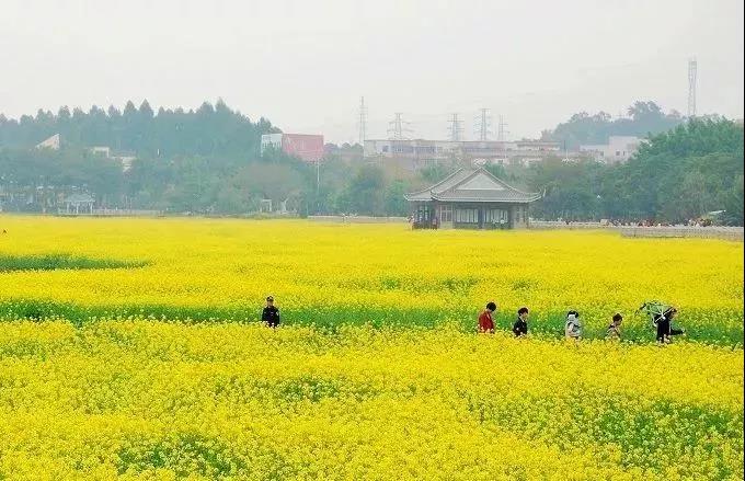 滚蛋吧，春困君！广东这些花花世界让你秒变龙马精神！