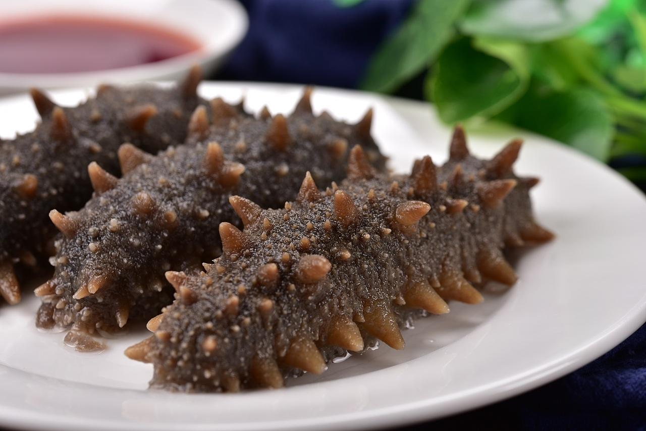 好当家即食海参好不好,即食海参的做法及吃法