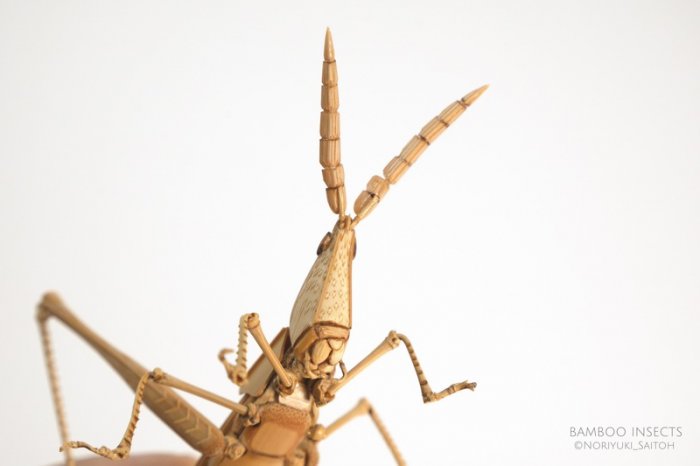 竹子手工制作昆虫模型,轻粘土自制永生花模型