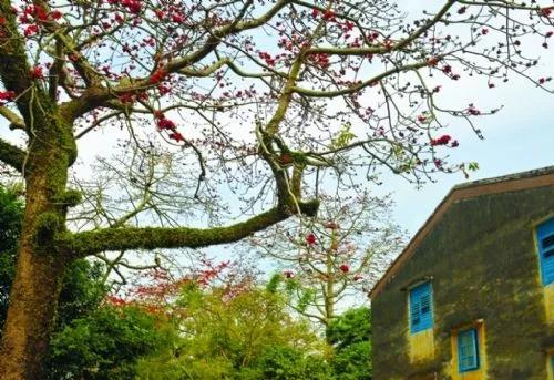 滚蛋吧，春困君！广东这些花花世界让你秒变龙马精神！