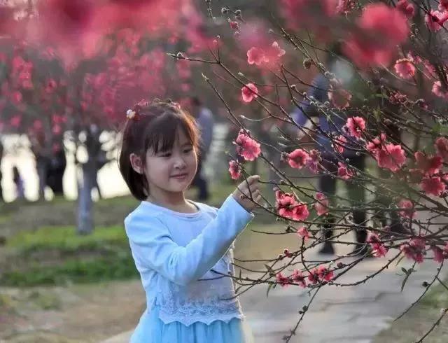 滚蛋吧，春困君！广东这些花花世界让你秒变龙马精神！