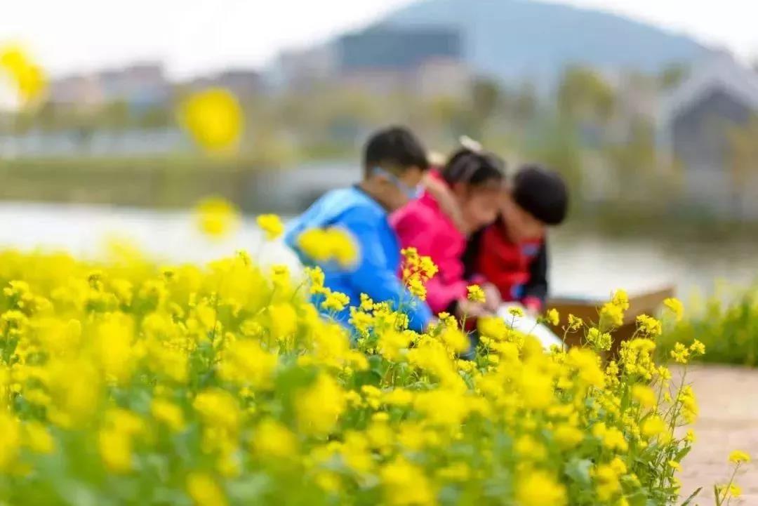 滚蛋吧，春困君！广东这些花花世界让你秒变龙马精神！