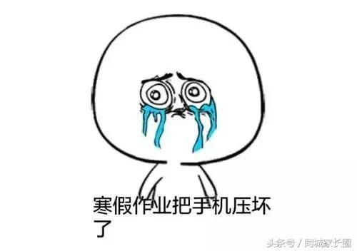 寒假作业搞丢了答案怎么办,如果你的寒假作业丢了