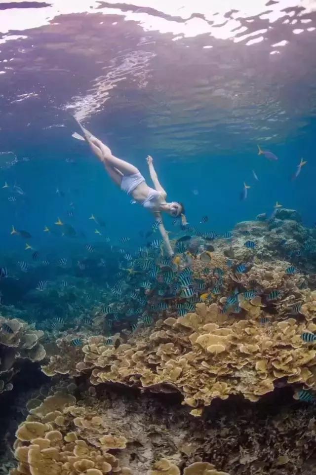 帕劳旅游攻略旅游视频,帕劳旅游攻略2018