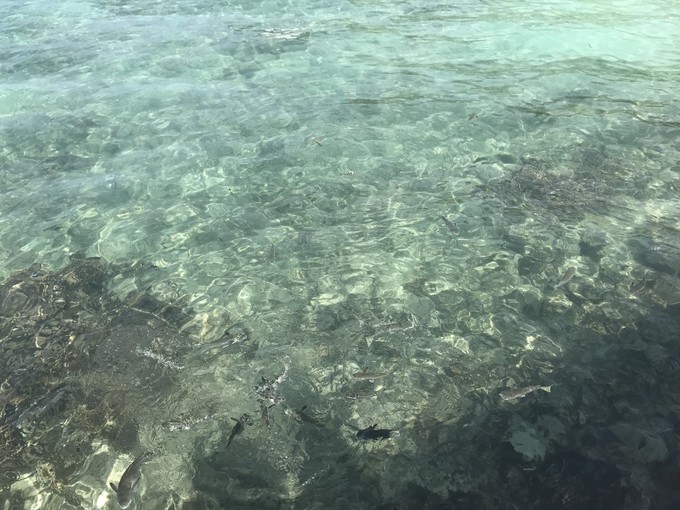 塞班岛旅游自由行五日游,说走就走的旅行巴厘岛