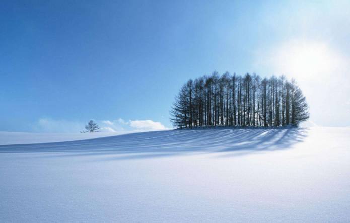 十二星座有多爱换头像,不开心就喜欢换头像的星座
