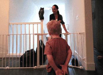 婚礼摄影师拍摄时出现的问题,婚礼摄影师拍得差怎么维权