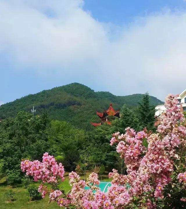 旅居养老来威海,威海真的适合养老旅居吗