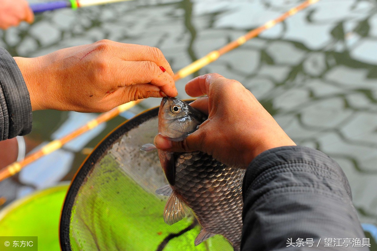 早春钓鱼的讲究和技巧图片,早春钓鱼方法与技巧