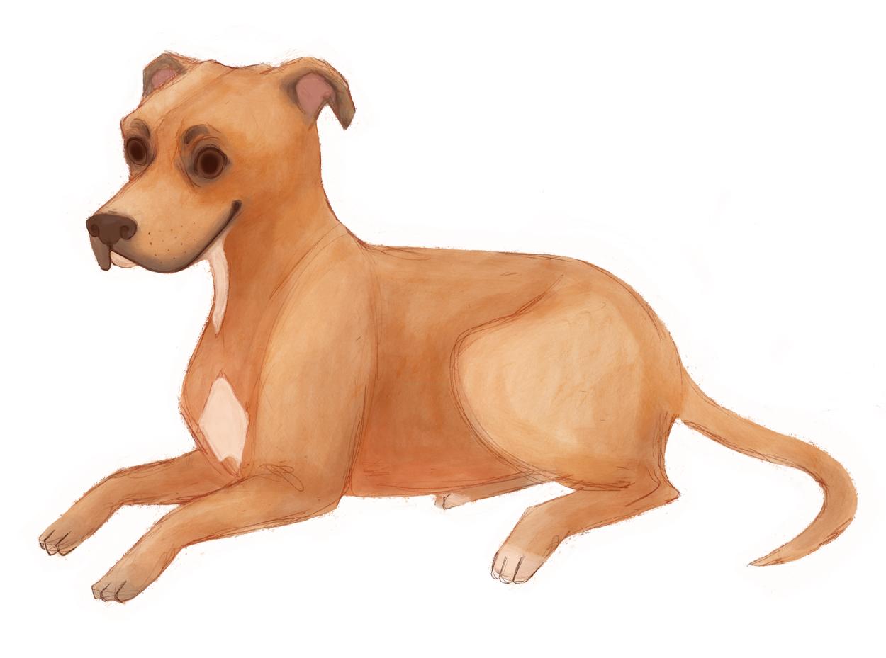 韩国插画师negrim的插画作品,插画师hana美食插画