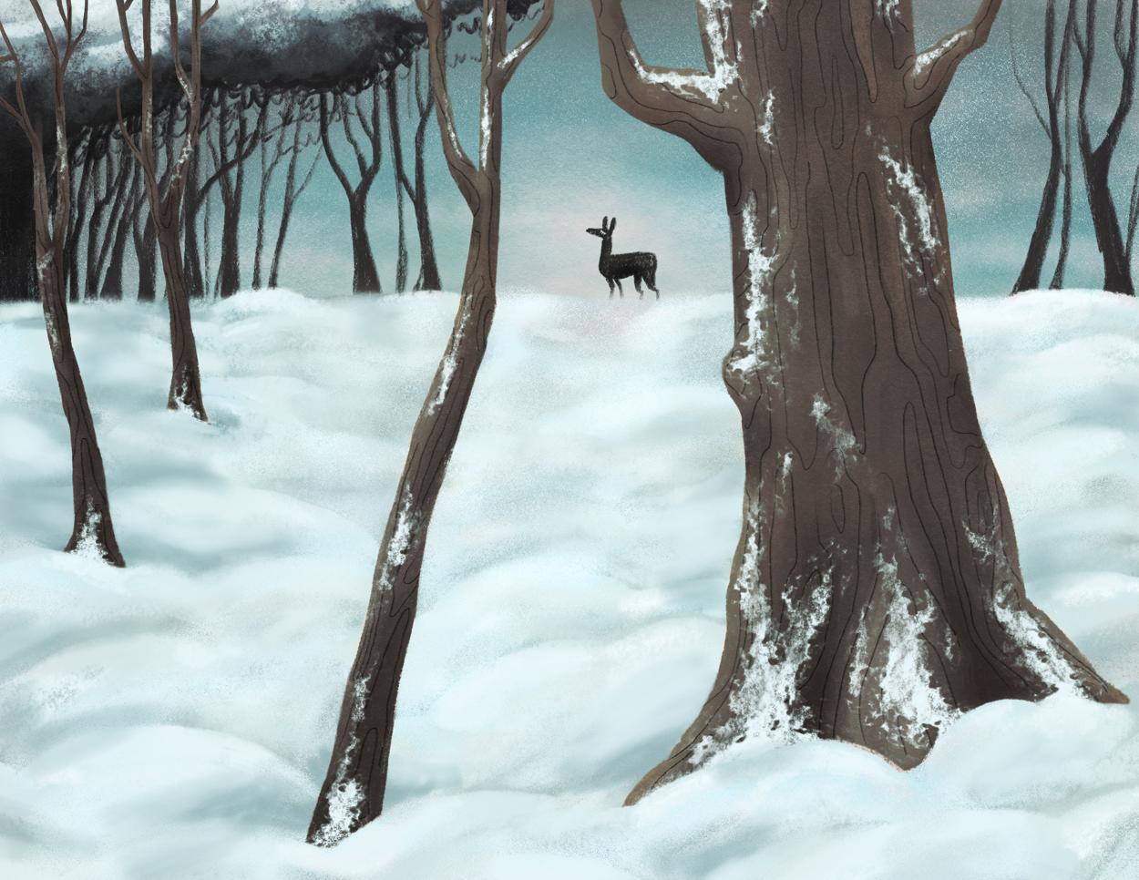 韩国插画师negrim的插画作品,插画师hana美食插画