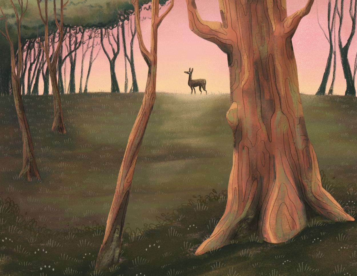 韩国插画师negrim的插画作品,插画师hana美食插画