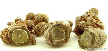 哺乳期能吃三七西洋参粉吗,哺乳期可以吃三七丹参粉吗