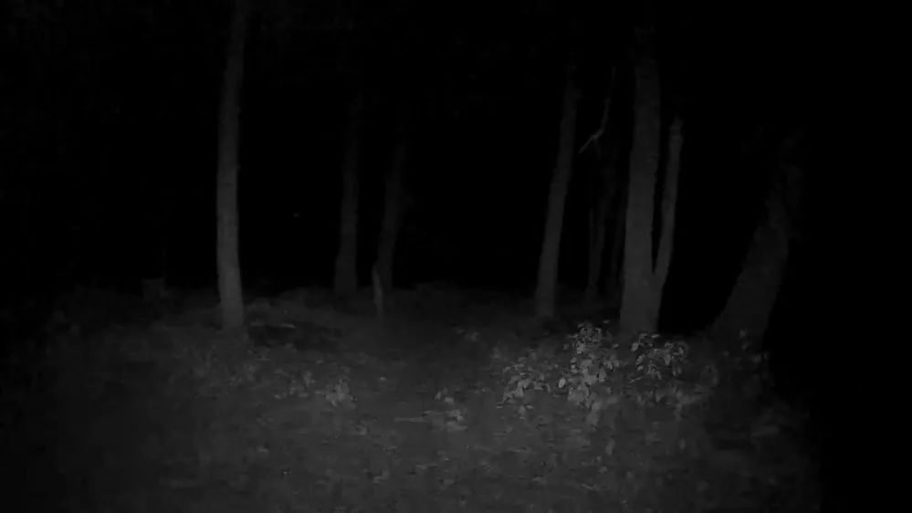 激光近视手术真的靠谱吗,激光近视手术靠谱吗