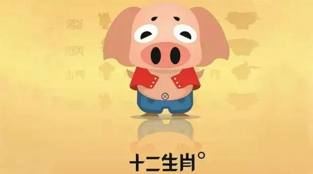 亥时生肖猪的命运,明年特别旺的属相猪