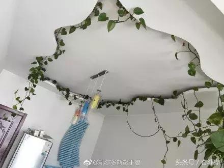 报告毛主席,我要换妈妈(看完笑死的宝宝们别找我,不关我事)~