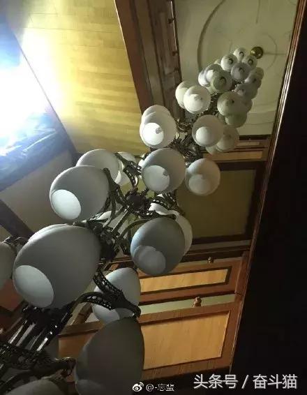 报告毛主席,我要换妈妈(看完笑死的宝宝们别找我,不关我事)~